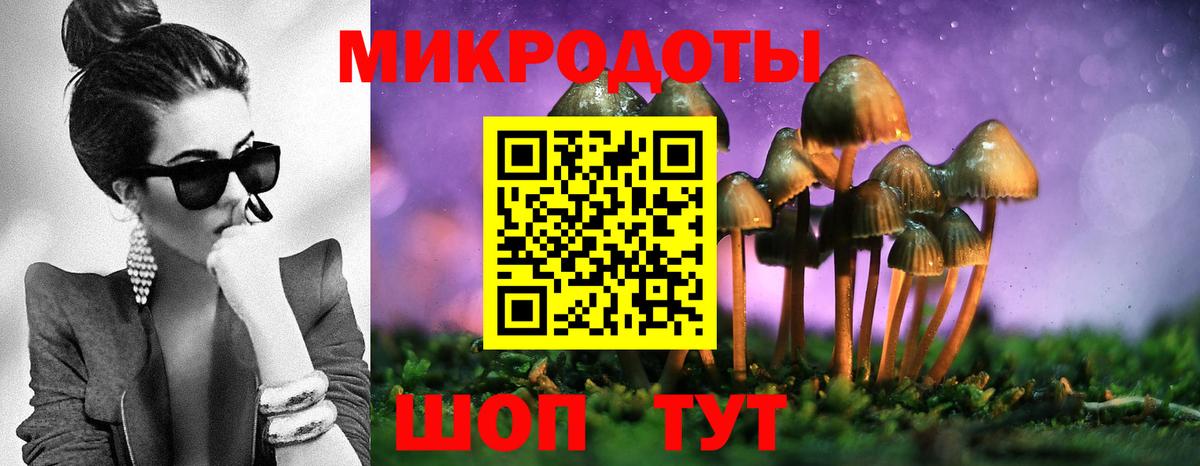 Псилоцибиновые грибы мухоморы Мелеуз